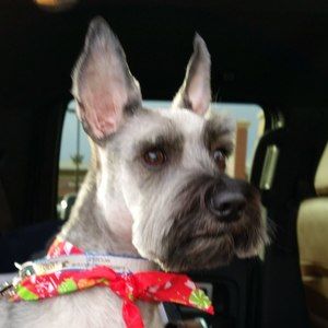 Meet your Posher, Peggy